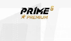 Wyniki gali Prime Show MMA 6 Premium